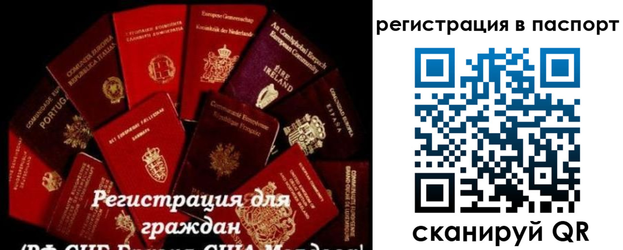 миграционный учет в Челябинской области